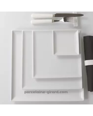 ASSIETTE CARREE  20.5 CM. //