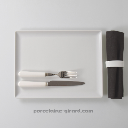 ASSIETTE OU PLAT RECTANGULAIRE 31X24CM /