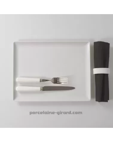 ASSIETTE OU PLAT RECTANGULAIRE 31X24CM /