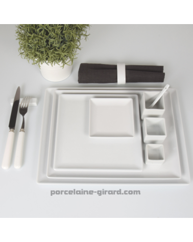 ASSIETTE OU PLAT RECTANGULAIRE  35.5 X 26.5CM /