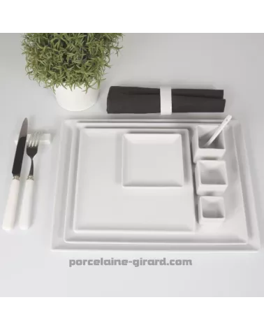 ASSIETTE OU PLAT RECTANGULAIRE  35.5 X 26.5CM /