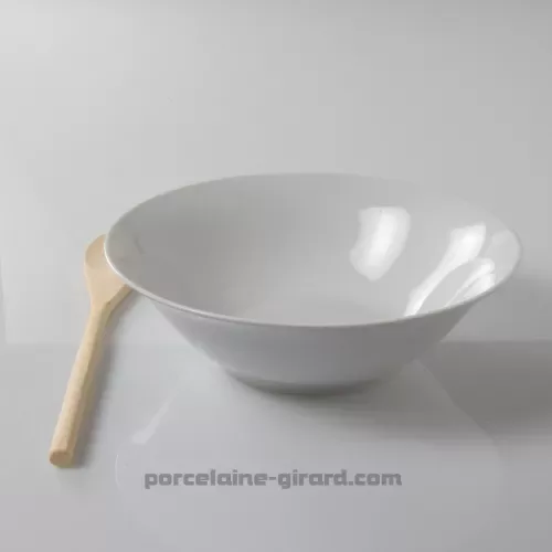 SALADIER LEO 22.7CM  /