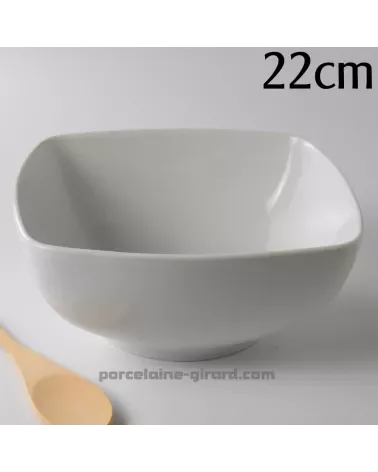 SALADIER SAHARA 22CM HT 10.5CM /