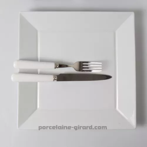 ASSIETTE JAPAN 27CM  /