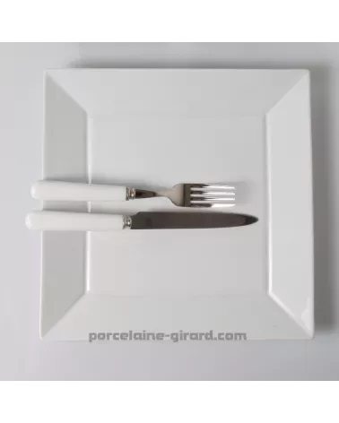 ASSIETTE JAPAN 27CM  /