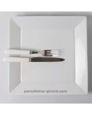 ASSIETTE JAPAN 30CM  /