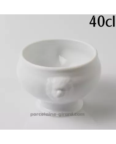 BOL TETE DE LION DIAMETRE 10.5CM HT 8CM 40CL /