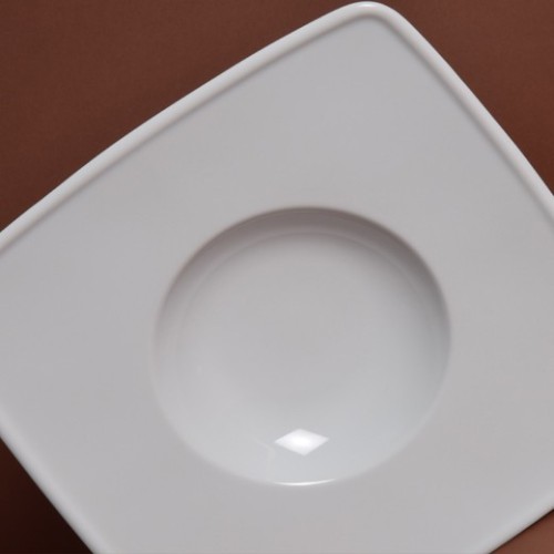 ASSIETTE  DEGUSTATION CARREE 26CM  /