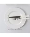 ASSIETTE PLATE EMPIRE 24CM  /