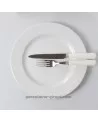 ASSIETTE PLATE EMPIRE 26CM  /