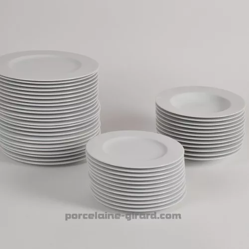 ASSIETTE PLATE EMPIRE 26CM  /