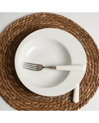 ASSIETTE CREUSE SURF 24CM /