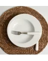 ASSIETTE CREUSE SURF 24CM /