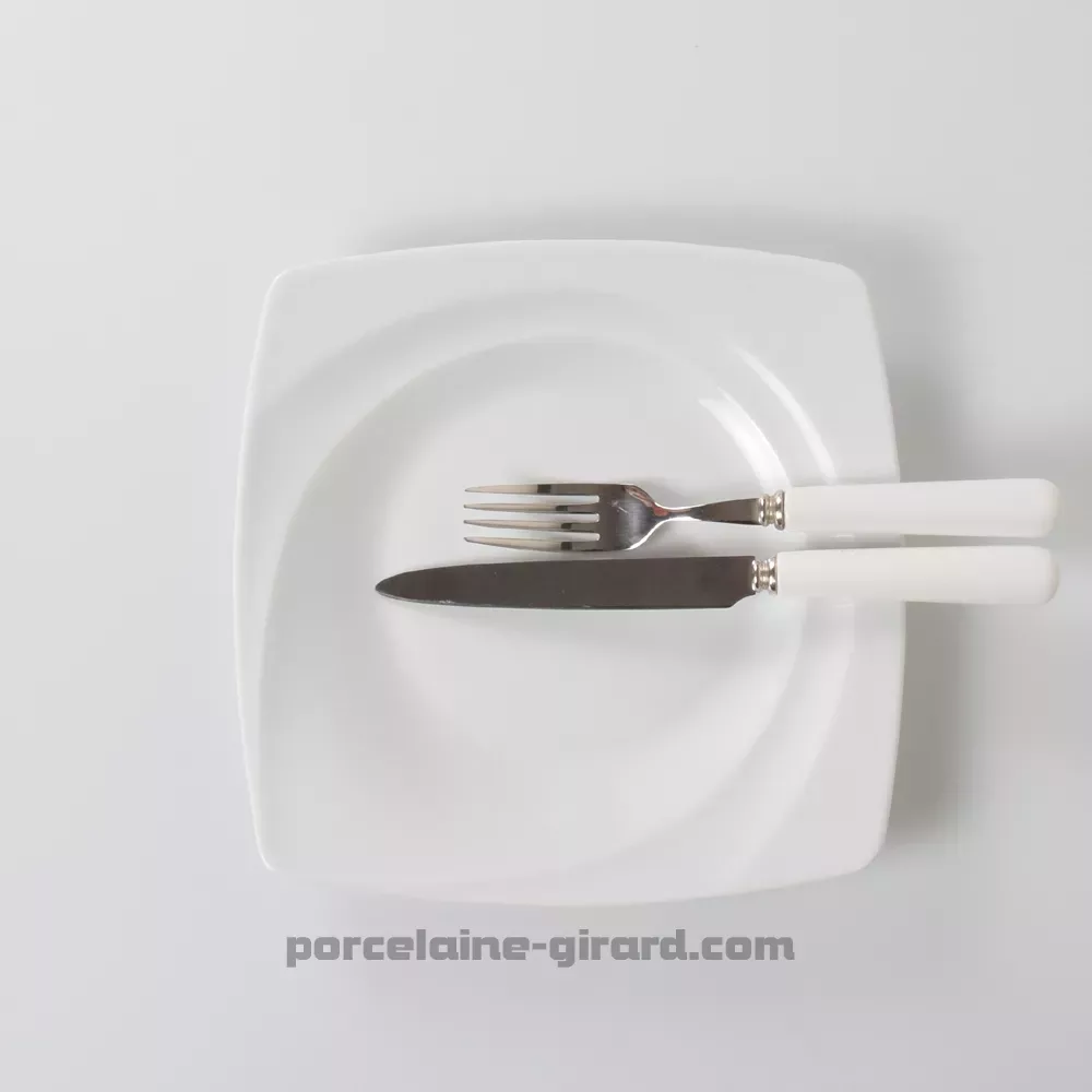 ASSIETTE  DESSERT CARAT 23 CM  /