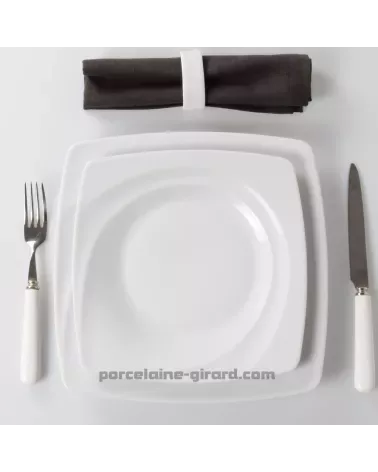 ASSIETTE PLATE CARAT 27 CM/