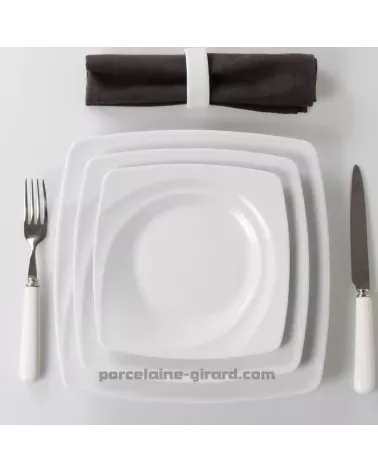 ASSIETTE PLATE CARAT 27 CM/