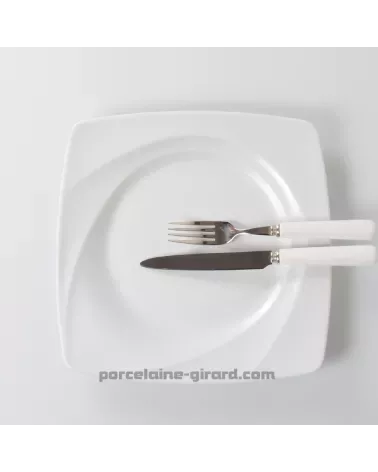 ASSIETTE PLATE CARAT 27 CM/