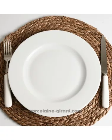 ASSIETTE PLATE EMPIRE  27CM