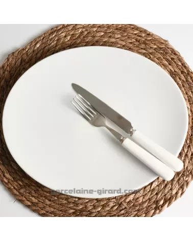 ASSIETTE A STEACK OVALE