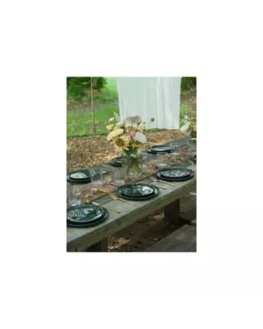 ASSIETTE A PATES ZORA 21XH6.5M