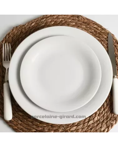 ASSIETTE PLATE 27 CM ONDE