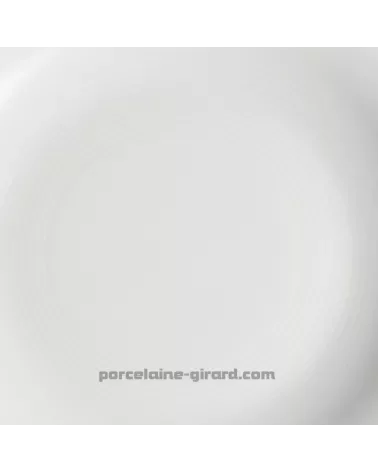 GRANDE ASSIETTE 31 CM ONDE