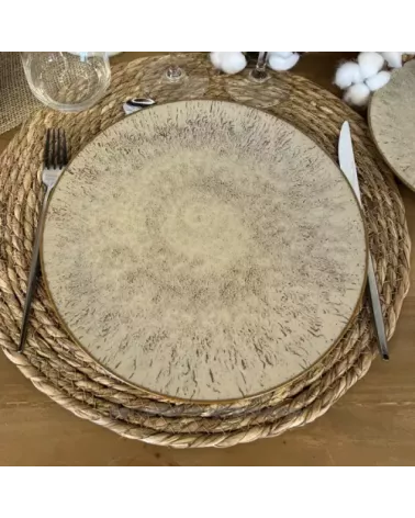 ASSIETTE PLATE ARIEL 27CM