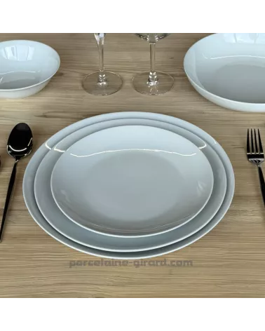 ASSIETTE PLATE COUPE LEO 26.8CM  /