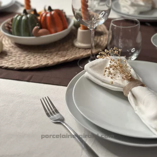 ASSIETTE PLATE COUPE LEO 24CM  /