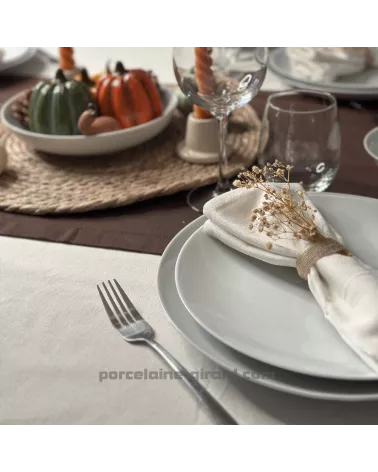 ASSIETTE PLATE COUPE LEO 24CM  /