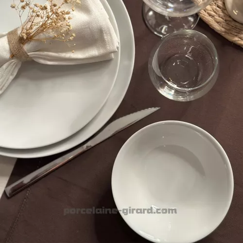 ASSIETTE PLATE COUPE LEO 24CM  /