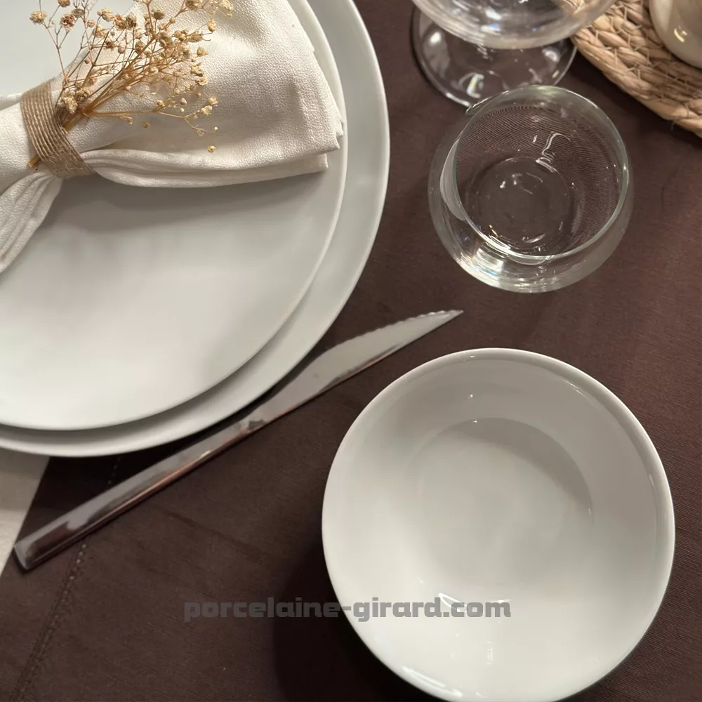 ASSIETTE PLATE COUPE LEO 24CM  /
