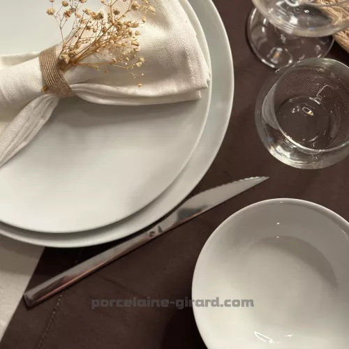 ASSIETTE PLATE COUPE LEO 24CM  /