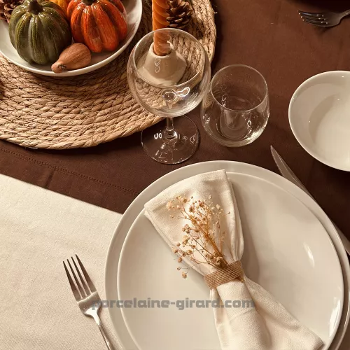 ASSIETTE PLATE COUPE LEO 24CM  /