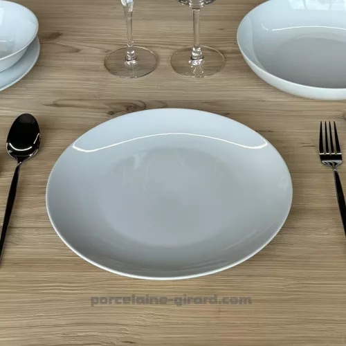 ASSIETTE PLATE COUPE LEO 24CM  /